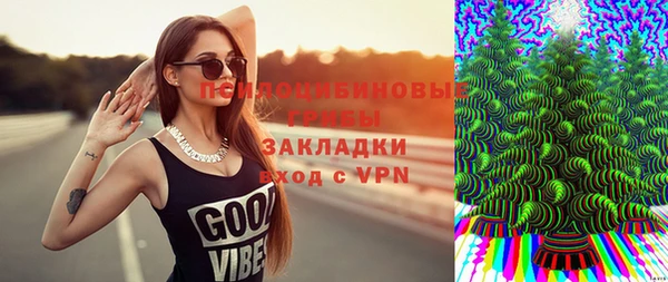 спайс Алзамай