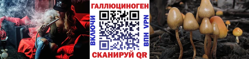 shop телеграм  цена   Артём  Галлюциногенные грибы Magic Shrooms 