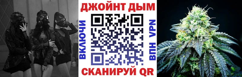 Конопля сатива Артём